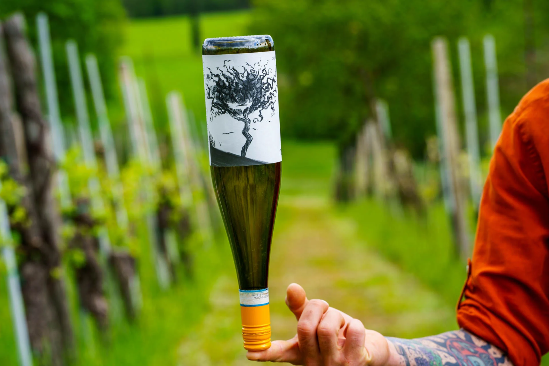 Stefano Zoli | Verdicchio di Matelica DOC