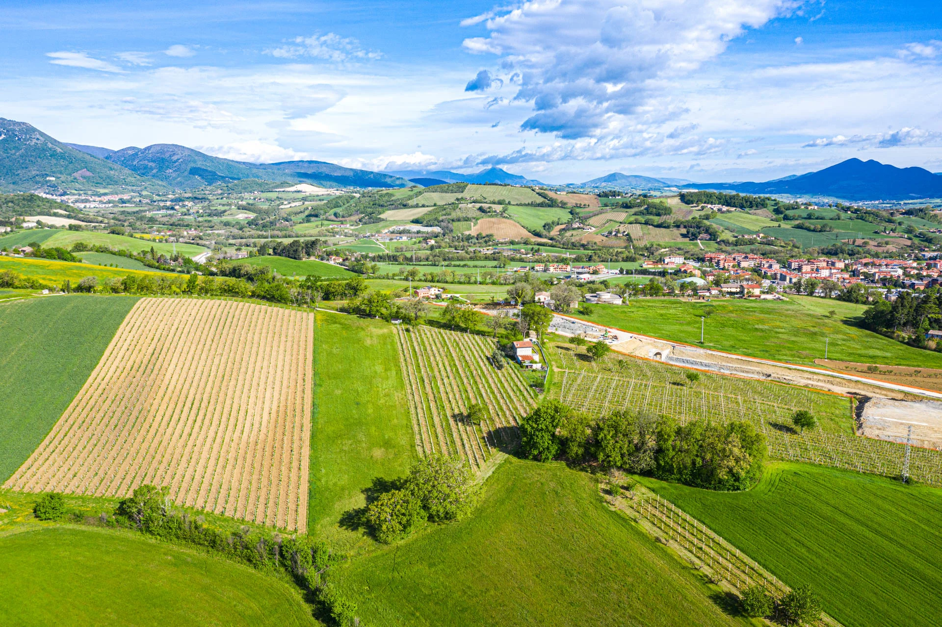 Stefano Zoli | Verdicchio di Matelica DOC